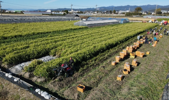 ご要望に合わせて開発・調整致します