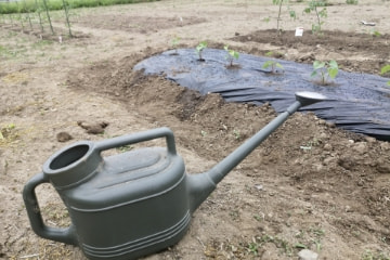 02 水をかける